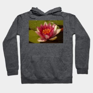 Pink Water Lily Hoodie